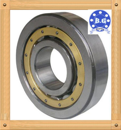 Chrome Steel Cylindrical Roller Bearing / Machines Cylindrical Roller Bearings