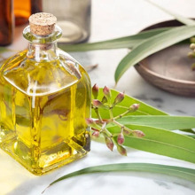 Eucalyptus Organic Essential Oil 80% 70% 60%