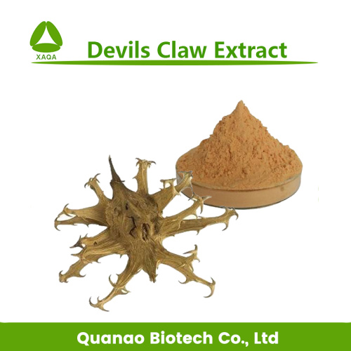 Devil's Claw Extract Harpagoside 1% 5% Powder