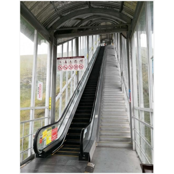 Economical And Practical Escalator