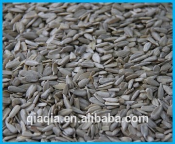 2014 new crop fresh sunflower kernel