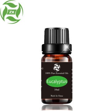 OEM custom private label eucalyptus essential oil