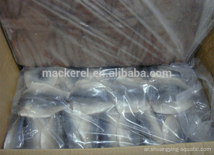 Frozen Fish Pacific Mackerel Flap مع معيار الاتحاد الأوروبي