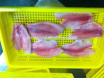 frozen tilapia fillet from china