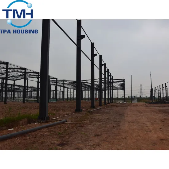 Customized Latest Design Steel Structure Workshop/Building