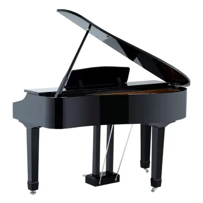 New Arrival Top-Selling Mini Digital Grand Piano with 88 Keys Touch Keyboard MIDI - Roland Keyboard