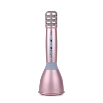 Microphone Speaker with TF Card Function
