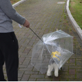 Wysokiej jakości przezroczysty parasol psa