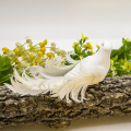 /msite/products/detail/productid/58446808/id/680473.html