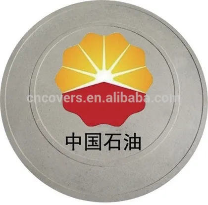 anti-theft water meter cover