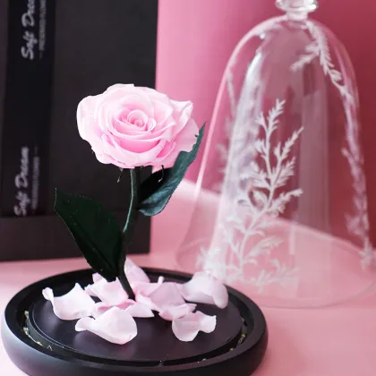 Preserved Rose with Fresh Stem: Beauty and the Beast Theme