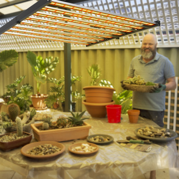 Indoor Hydroponic Farming Led Grow Light