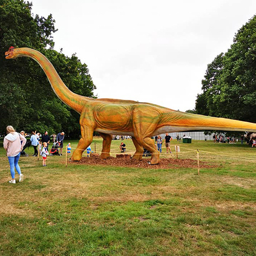 Life Size Dinosaur Replicas for Sale