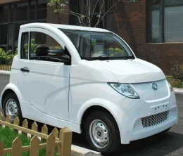 two seated low speed pure electric car