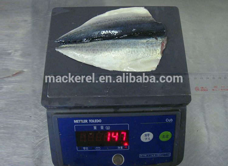 Chinese Frozen Fish Mackerel Flaps Mackerel Fillets