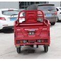 1000w Eec Electric Tricycle Model For Cargo