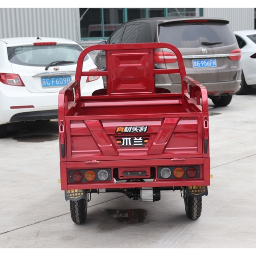 1000w Eec Electric Tricycle Model For Cargo