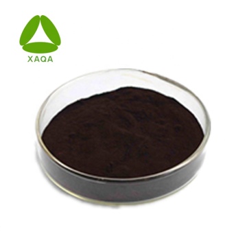 Natural Organic Fruit Black Currant Extract Powder 10:1