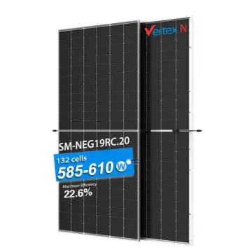 Dual Glass 600W Trina Solar Module TOPCon NEG19RC.20 Bifacial Solar Panel