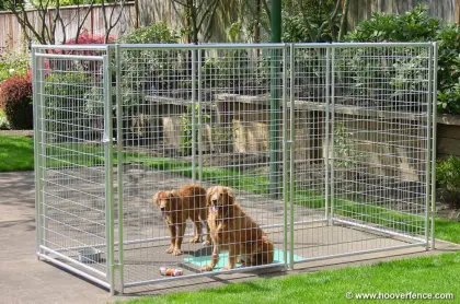 Chain link dog kennels