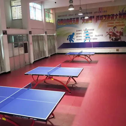 Table Tennis Court Mat Table Tennis Flooring