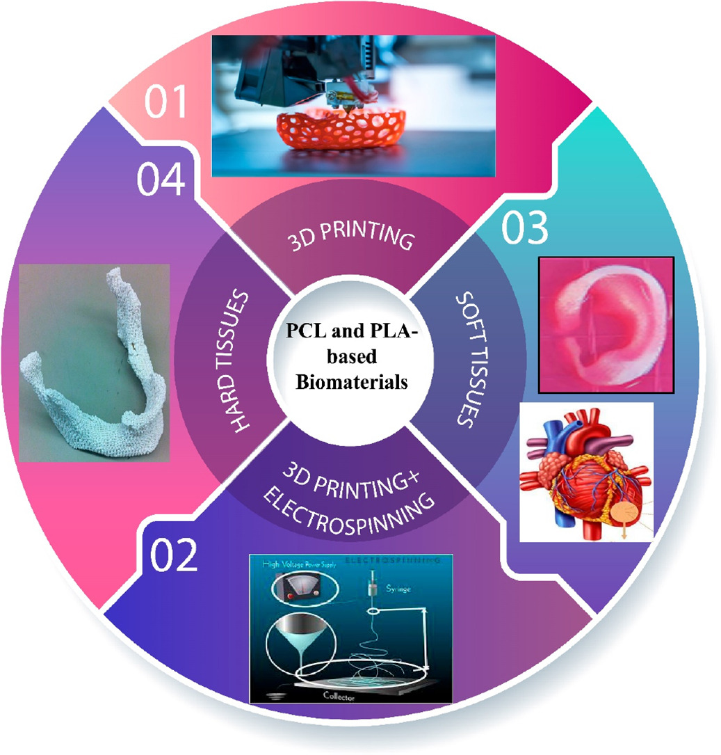 PCL & PLA-Based Biomaterials — Shaping the Fu