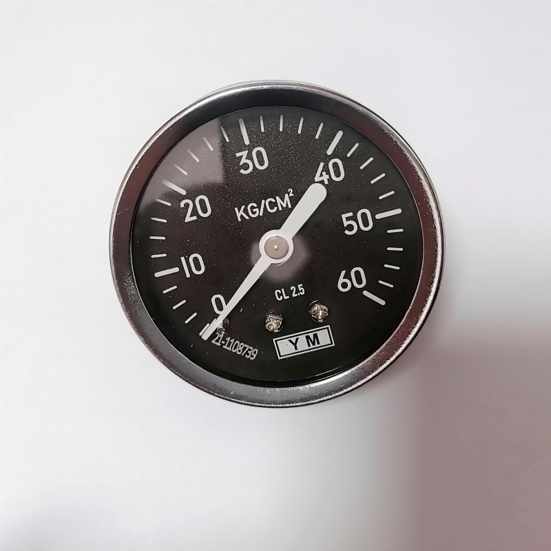 0~60kgs   pressure Gage (1)