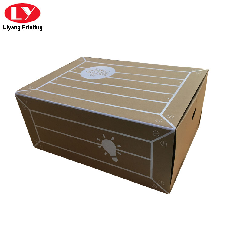 Drawer Type Shoe Box