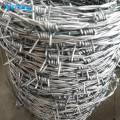 /msite/products/detail/productid/57030781/id/666379.html