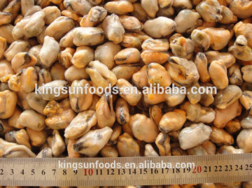 Frozen Mussel Meat ( Mytilus Edulis )
