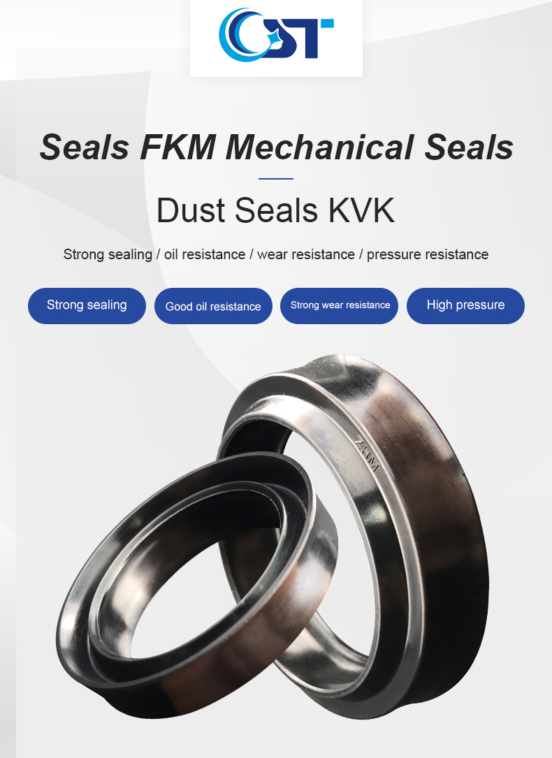 Zhm Dust Seals