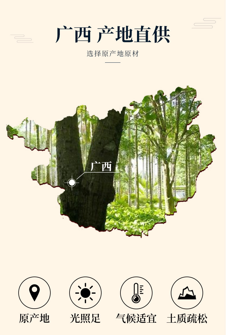 Chinesischer Zimt aus Guangxi