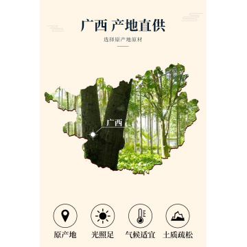 Cannella cinese dal Guangxi