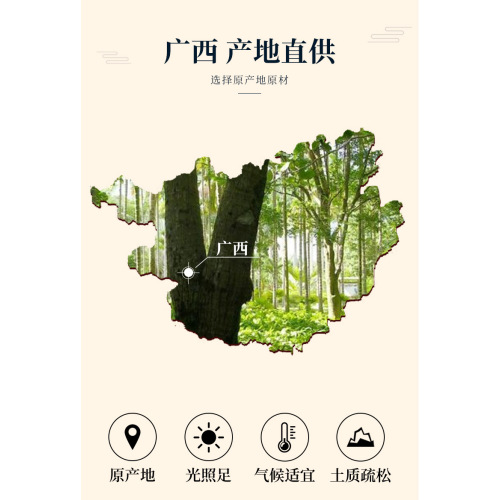 Chinesischer Zimt aus Guangxi