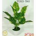 /msite/products/detail/productid/62997091/id/1504288.html