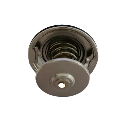 Mercedes Benz Coolant Thermostat 0022037675