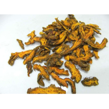 Natural coptis chinensis para la ictericia también thache estómago