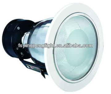 Vertical fog-proof downlight, YP5016B, 5 inch