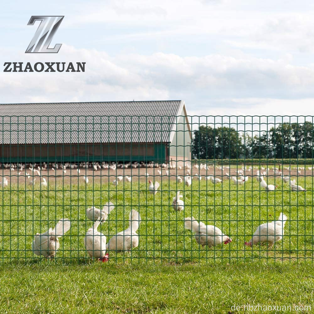 Hochwertiger PVC -beschichteter Eurozaun mit PVC