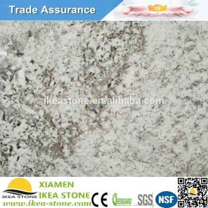 Indian Slab Bianco Antico Exotic Granite Colors