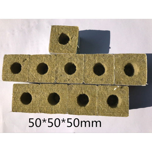 Skyplant Indoor Hydroponic Rockwool Cubes With Hole