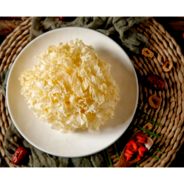 Natural Polysaccharides 50% Tremella Extract