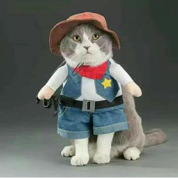 Pet Standing Pluxh Reched Small Hand Roupas de jeans