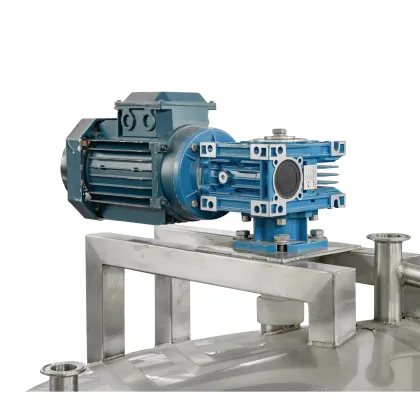 WS SUS304 500L Yogurt Beer Fermentation Tank