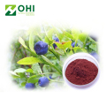 Bilberries ekstrak 5% -98% Anthocyanidins