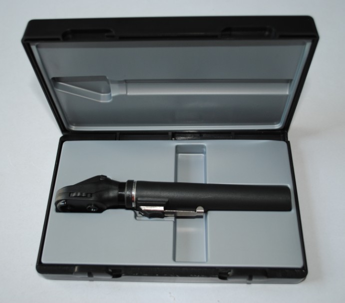 Fiber Ophthalmoscope