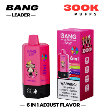 Bang Leader Stoll 300K Grosir Vape Pod Sekali Pakai