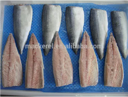 Chinese Fish Frozen Fish Pacific Mackerel Fillet Price