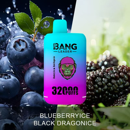 Bang Pemimpin 32K Rasa ganda Vape sekali pakai