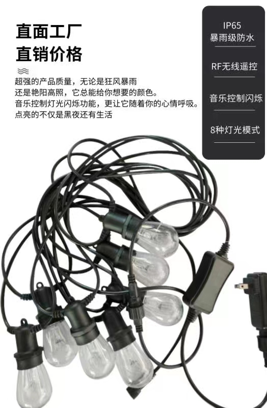 LED string light (1)